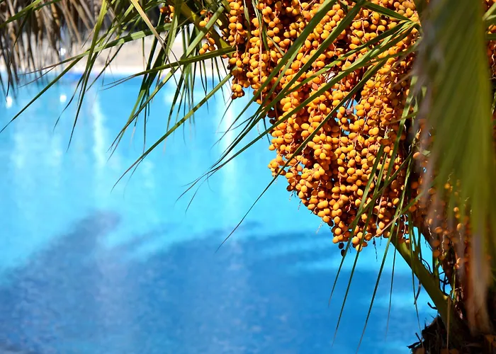 Zephyros Hotel Kamari (Santorini)