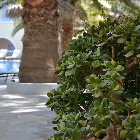 Zephyros 3* Kamari (Santorini)