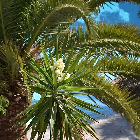 מלון Zephyros 3*