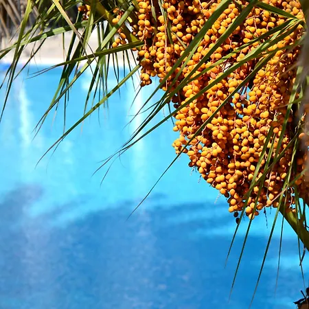 Zephyros Hotel Kamári